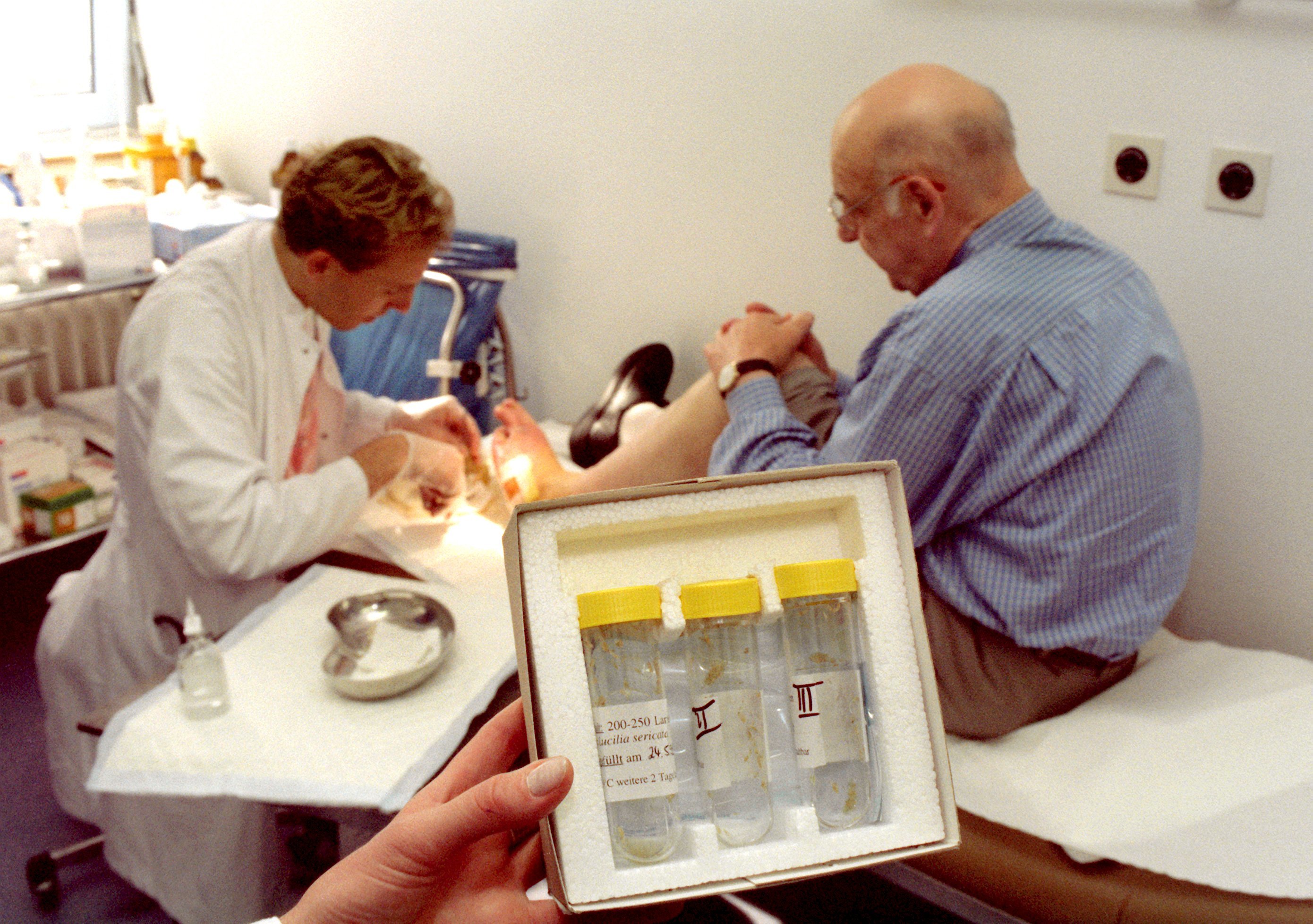 A doctor uses sterile maggots like those in these tubes to clean a patient's foot wound. (Norbert Försterling/picture alliance/Getty Images)