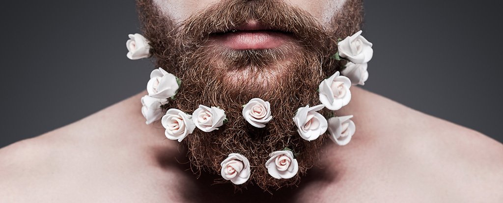 Is a Lush Beard a Signal of Having More Testosterone? Not So Fast, Says New Stud..
