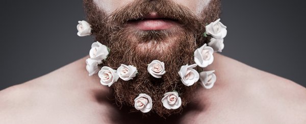 Is a lush beard a signal of having more testosterone? Not so fast, says new study