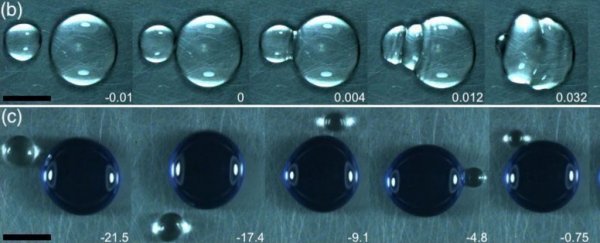 Amazing video reveals a new kind of Leidenfrost effect we've never seen before