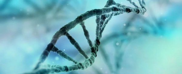 Scientists identify a gene variant that doubles the risk of dying from COVID-19