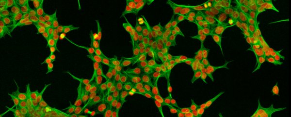 Shock AI discovery suggests we've not even discovered half of what's inside our cells