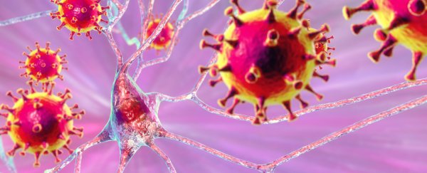 Researchers think they've finally figured out how herpes invades our nervous system