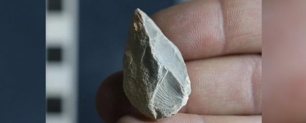 'Tools' suggesting humans reached Mexico 30,000 years ago may not be what they seem