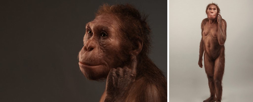 This Ancient Human Relative 'Walked Like a Human, But Climbed Like an Ape'