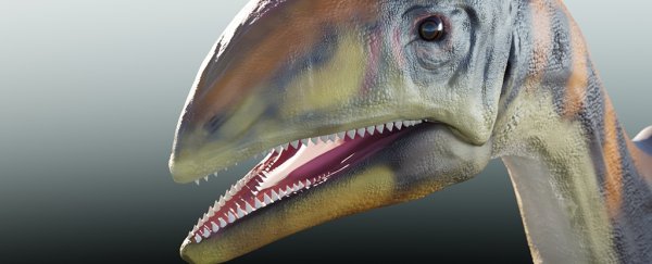 Meet 'Cold Bone': the first distinct dinosaur species ever found in Greenland