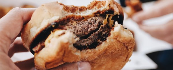 It's possible to accidentally develop an allergy to red meat. Here's the science