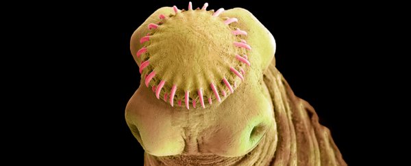 Otherwise healthy man found to have a disturbing, unexpected visitor in his brain