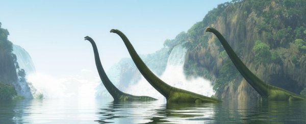 Weird tracks in Texas indicate giant sauropods walking on their front feet only