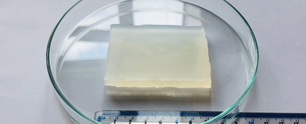 New 'super jelly' is 80 percent water and can survive being run over by a car