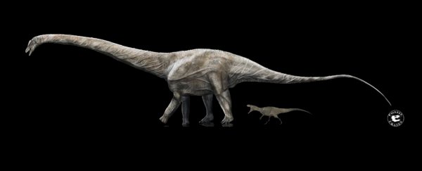 Fossil breakthrough identifies what could be the longest dinosaur that ever lived