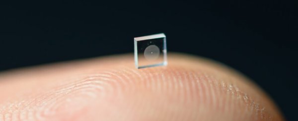 This new ultra-compact camera is the size of a grain of salt and takes stunning photos