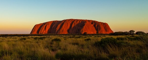 Scientists Discover Unknown Plant Species Growing on Australia's Sacred Uluru