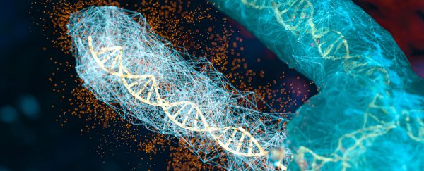 There's an Evolutionary 'Arms Race' Between Genes And 'selfish' Genetic Elements