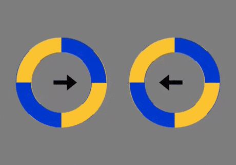rotating circles illusion