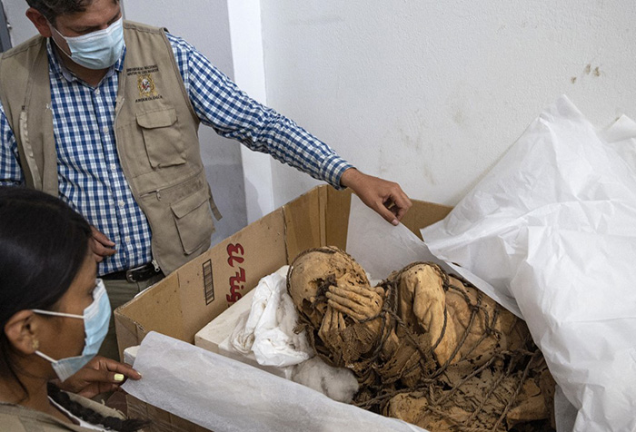 Two people observing the mummy lying in a large box