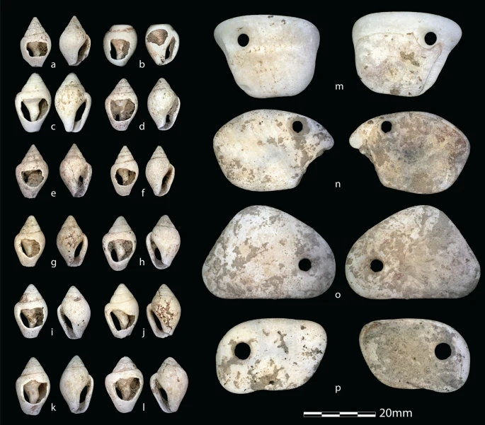 Ornaments associated with Neve, including shell beads (a–l) and pierced pendants (m-p). (Hodgkins et al., Scientific Reports, 2021)