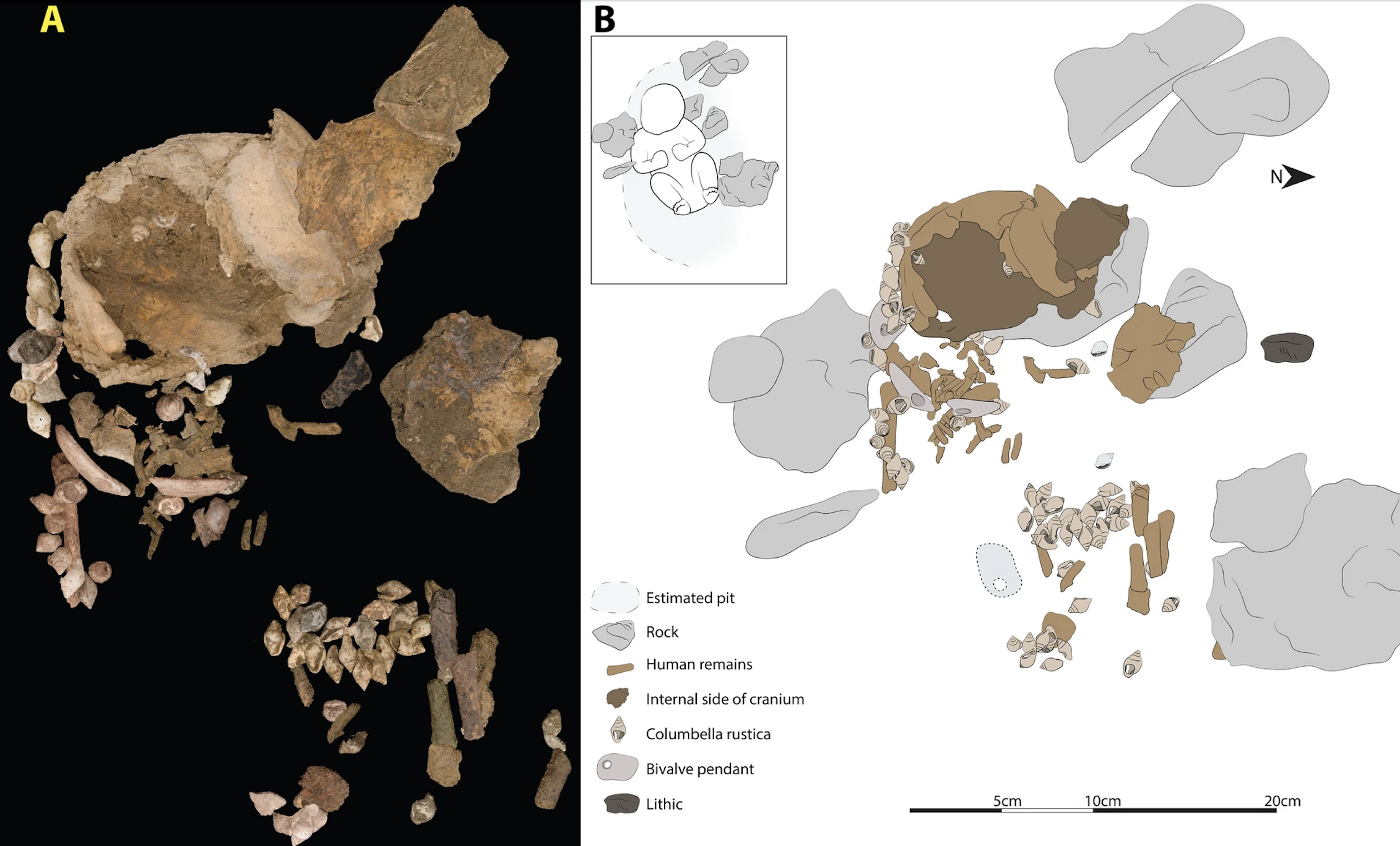 Burial layout. (A) Reconstructing the bones and artifacts as they were in situ. (B) (Dominique Meyer, Danylo Drohobytsky, Falko Kuester)