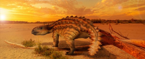 This 'very weird' newly discovered dinosaur was armed with a slashing weapon