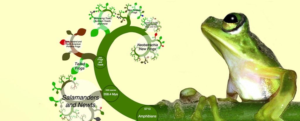 Explore Evolution on Earth in The Most Comprehensive Tree of Life Ever Created