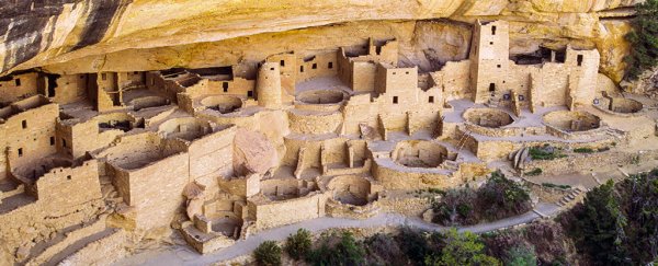 One ancient culture actually benefited from 'the worst year in human history'
