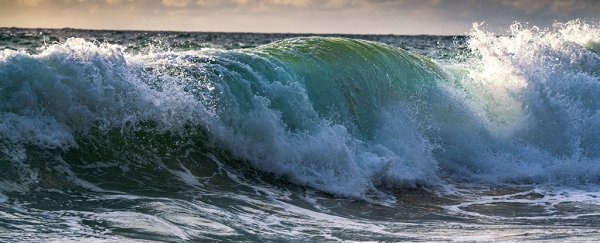 Tsunamis' magnetic fields can be detected before sea levels change