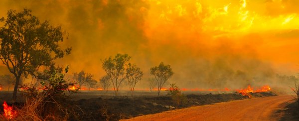 Professional fire watchers 'astounded' by the scale of fires in Australia right now