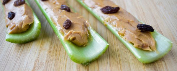 Here's what you really should know about 'negative-calorie' foods, according to experts