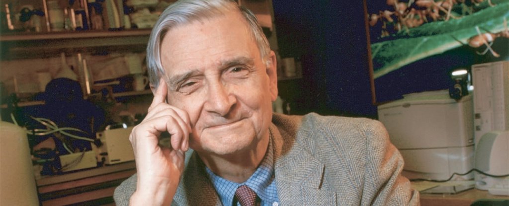 Biologist E. O. Wilson Dies at 92. His Legacy Is More Critical Now Than Ever