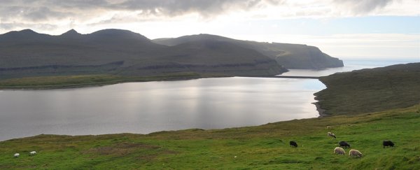 Remote North Atlantic islands were inhabited centuries earlier than previously thought