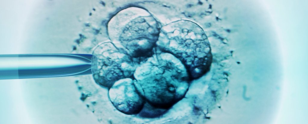 New Data Reveal Your Chances of Becoming Pregnant With IVF Based on Age