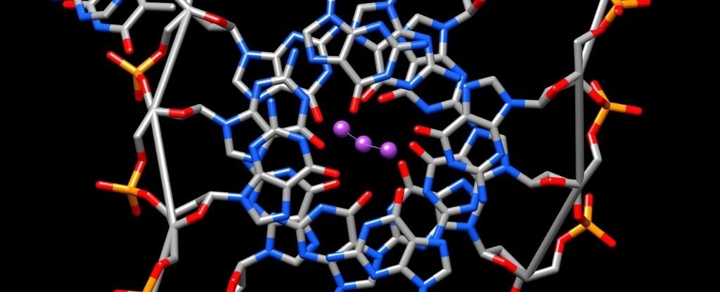 Unusual 'Quadruple Helix' Structure in DNA May Be Behind Rare Aging Syndrome