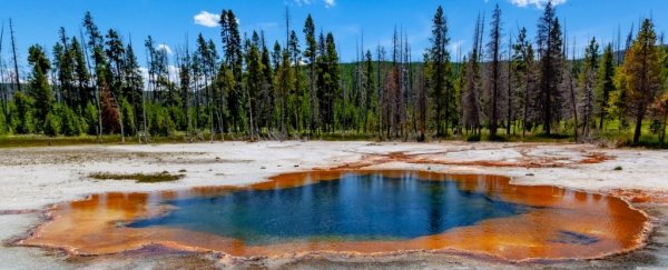 This element could have been crucial to the evolution of complex life on Earth