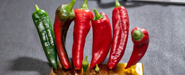 NASA's space chilis have broken two world records