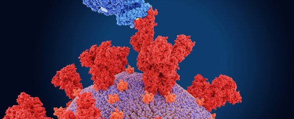 Is Omicron more contagious than Delta? A virus expert explains what we know so far