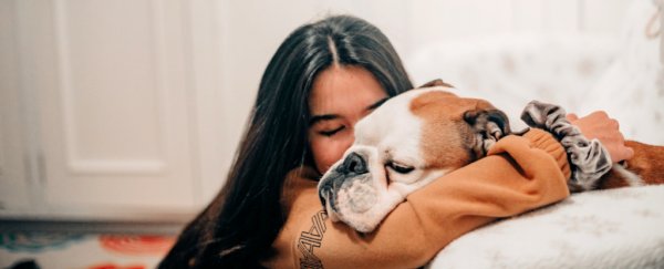 We may finally have the basis of a dog allergy vaccine