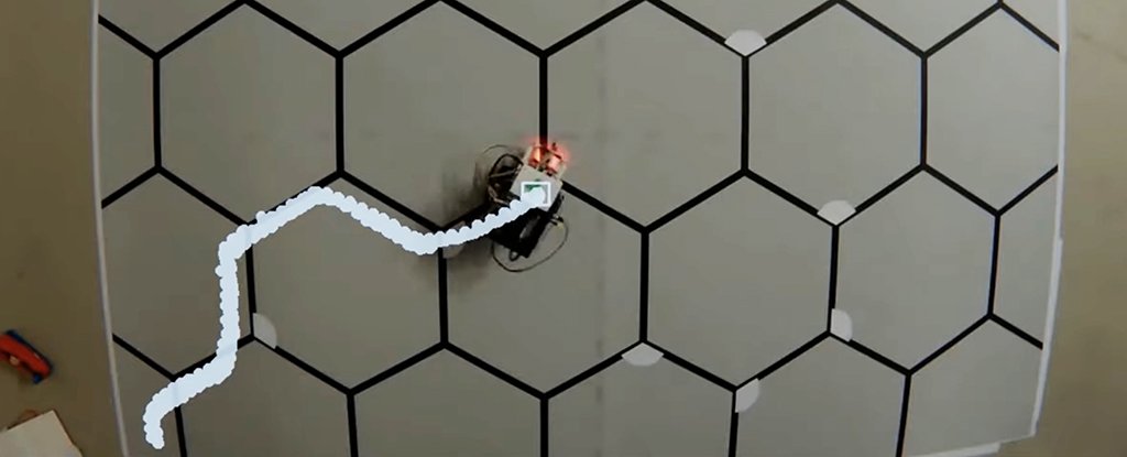 This Robot Learned to Solve a Maze Using Mammal-Like 'Brain' Circuits For Memory