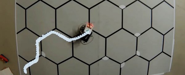 This robot learned to solve a maze using mammal-like 'brain' circuits for memory
