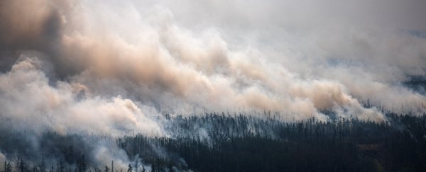 Scorching Siberian heatwave confirmed as hottest Arctic temperature ever recorded