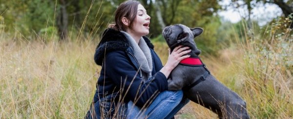 Dogs understand an average of 89 unique words and phrases, new research shows