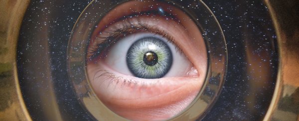 A brief period of 'blindness' is key to us seeing fine details