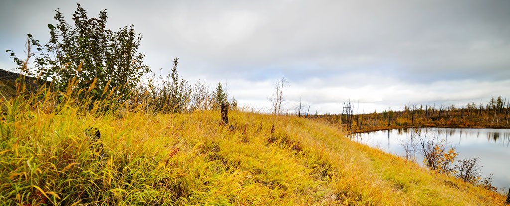 Scientists Find a New Source of a Greenhouse Gas Emissions in The Siberian Perma..