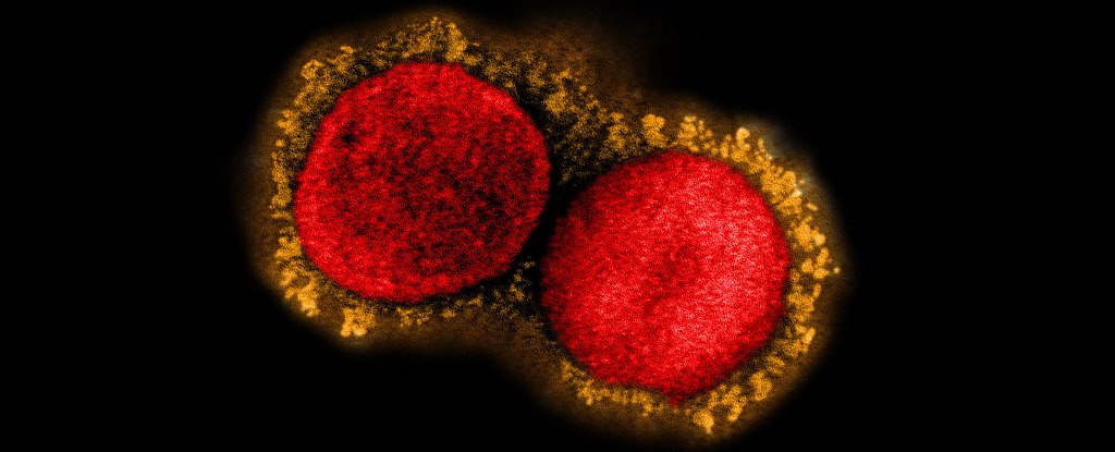 How Can mRNA Vaccines Be Updated to Target Omicron? A Microbiologist Explains