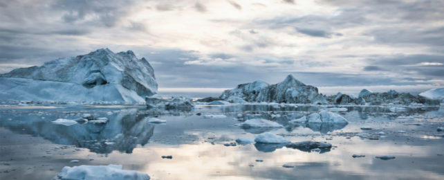 The Arctic Is Now Leaking Out High Concentrations of 'forever Chemicals'