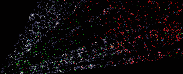 Take a look at the largest and most detailed 3D map of the Universe ever made