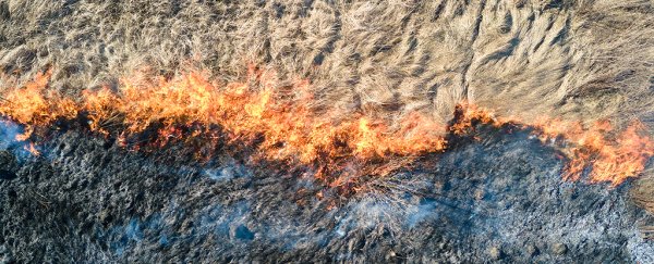 Methane pollution just reached new heights, and the sources may not be what you think