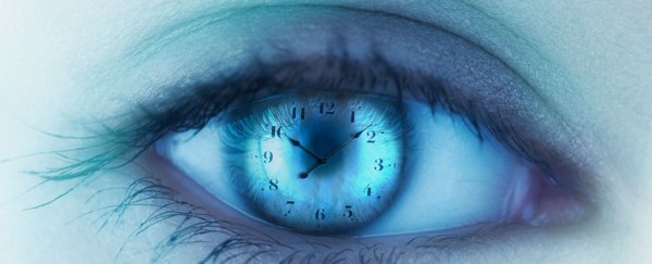 Our brains keep us 15 seconds 'in the past' to help us see a stable world, says study