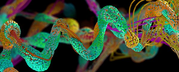Study finds protein structures that could be responsible for the origins of life