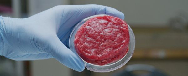 Many people seem disgusted by the thought of eating cultured meat
