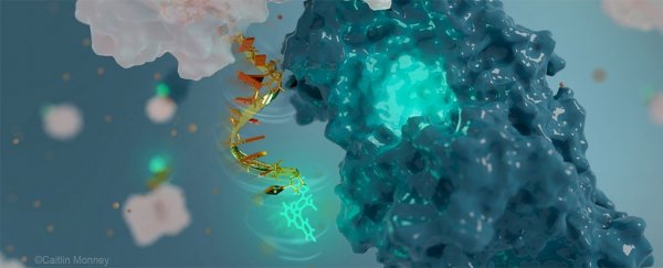 Scientists built the world's tiniest antenna, and it's made out of DNA